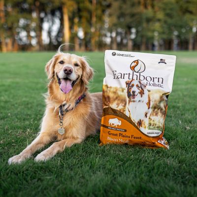 Image showing  All Life Stages Great Plains Feast Bison Recipe Dry Dog Food, 25 lb. Bag