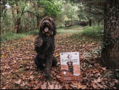 Image showing  Primitive Natural All Life Stages Grain-Free Turkey Meal Recipe Dry Dog Food, 25 lb. Bag