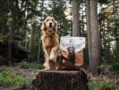 Image showing  Primitive Natural All Life Stages Grain-Free Turkey Meal Recipe Dry Dog Food, 25 lb. Bag