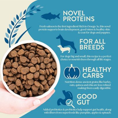 Image showing  All Life Stages Unrefined Smoked Salmon Recipe Dry Dog Food