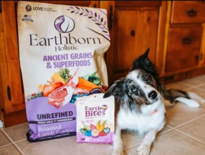 Image showing  Ancient Grains and Superfoods All Life Stages Unrefined Roasted Lamb Recipe Dry Dog Food, 25 lb. Bag