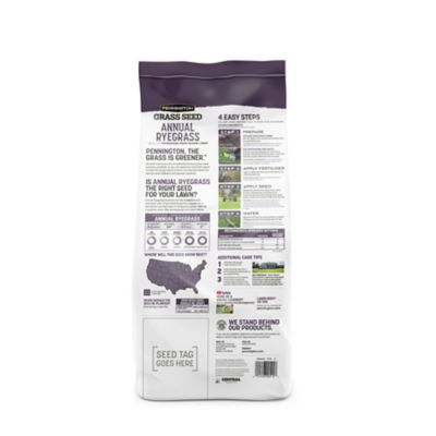 Image showing  Annual Ryegrass Grass Seed