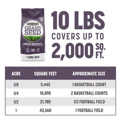 Image showing  Annual Ryegrass Grass Seed