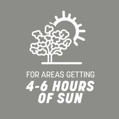 Image showing 5 th Pennington Penn Contractors Mix Southern 20 lb.