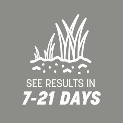 Image showing 6 th Pennington Penn Contractors Mix Southern 20 lb.