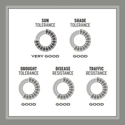 Image showing 8 th Pennington Penn Contractors Mix Southern 20 lb.