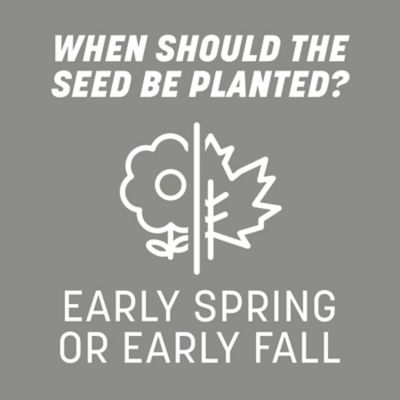 Image showing 9 th Pennington Penn Contractors Mix Southern 20 lb.