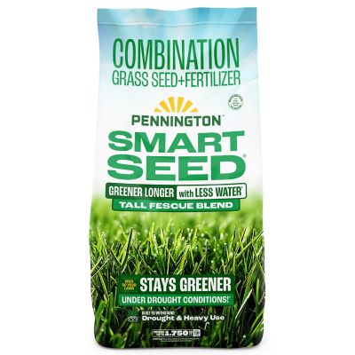 Pennington Smart Patch Dense Shade