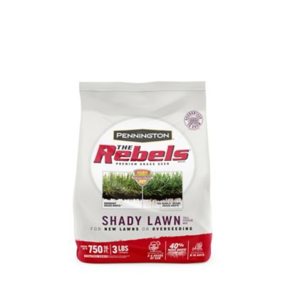Pennington The Rebels Shady Lawn Grass Seed Mix, Covers 750 sq. ft., 3 lb. Bag