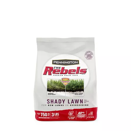 Pennington The Rebels Shady Lwn Mx Pc Grass Seed