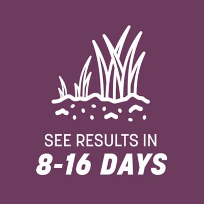 Image showing 5 th Pennington The Rebels Shady Lawn Grass Seed Mix, Covers 750 sq. ft., 3 lb. Bag