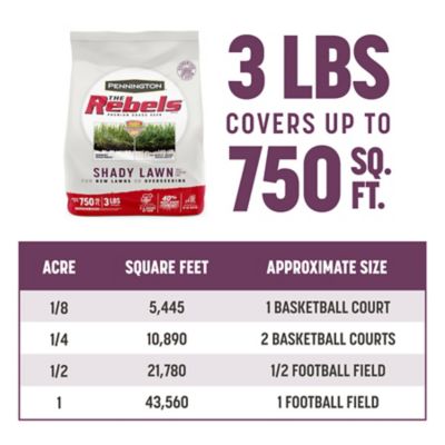 Image showing 7 th Pennington The Rebels Shady Lawn Grass Seed Mix, Covers 750 sq. ft., 3 lb. Bag
