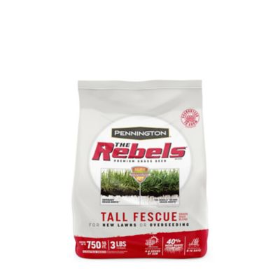 Pennington The Rebels Tall Fesc Bld Pc, 3 lb.