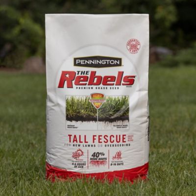 Pennington The Rebels Tall Fescue Blend Pouch, 7 lb.