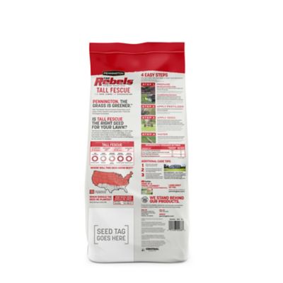 Image showing  The Rebels Tall Fescue Blend Pouch, 7 lb.