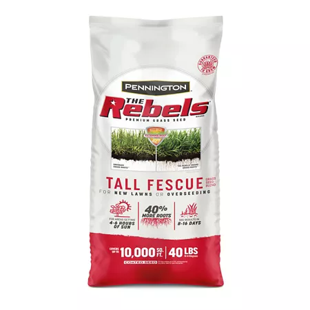 Pennington The Rebels Tall Fesc Bld PC 40 lb. Grass Seed