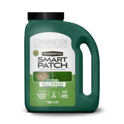 Pennington Smart Patch Tall Fescue Mulch Jug 5LB