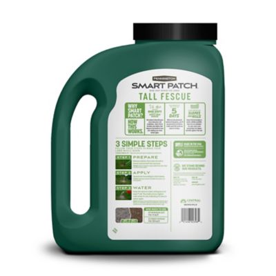 Image showing  Smart Patch Tall Fescue Mulch Jug 5LB