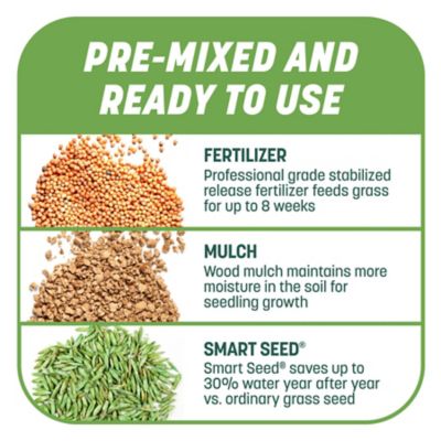 Image showing 6 th Pennington Smart Patch Tall Fescue Mulch Jug 5LB