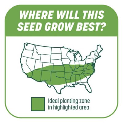 Image showing 7 th Pennington Smart Patch Tall Fescue Mulch Jug 5LB