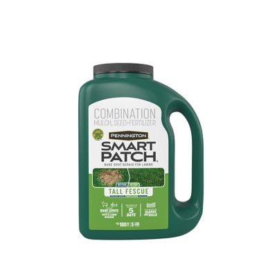 Image showing  Smart Patch Tall Fescue Mulch Jug 5LB