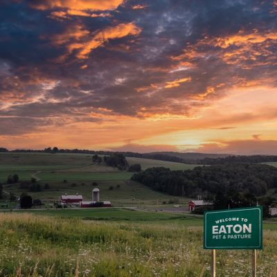 Image showing 7 th Eaton Pet & Pasture Premium Chicken Nesting Pads, 10-Pack