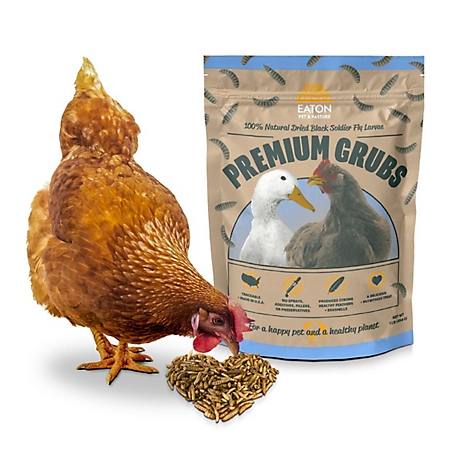 Eaton Pet & Pasture USA Premium Dried Black Soldier Fly Larvae Chicken Treats, 1 lb.