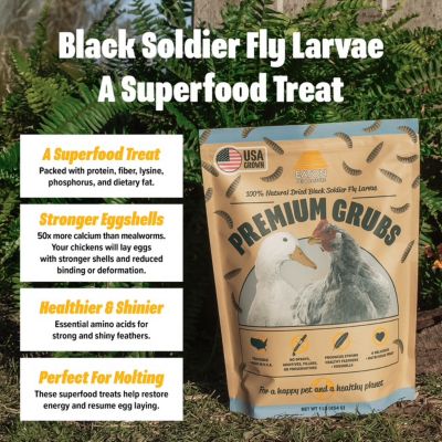 Image showing  Premium Grubs, USA Grown Dried Black Soldier Fly Larvae
