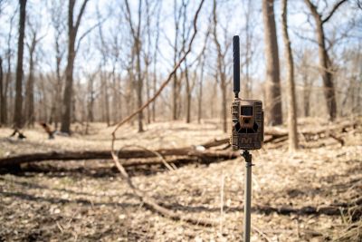 Image showing  36 MP Matrix Dual Network AT&T/Verizon Cellular Trail Camera