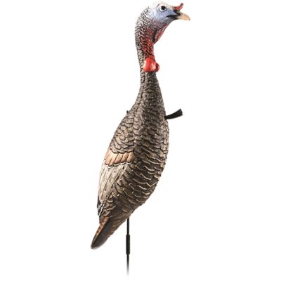 Image showing  Funky Chicken Gen. 2 Decoy