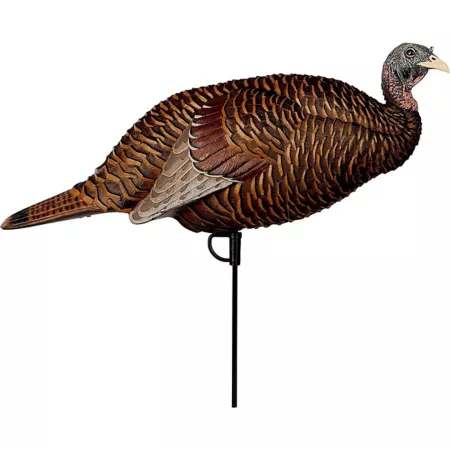 Flextone Thunder Chick Rearing Decoy Turkey Decoys