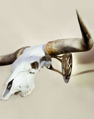 Image showing  Big Hooker, Brown