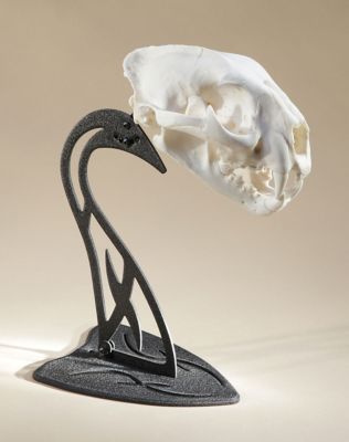 Image showing  Table Hooker, Black