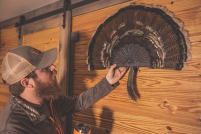 Image showing  Turkey Hooker