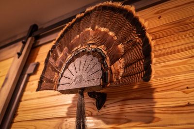 Image showing  Turkey Hooker