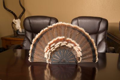 Image showing  Turkey Hooker