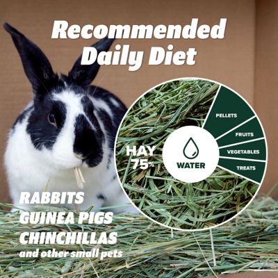 Image showing  Premium 1st Cut Western Timothy Hay Orchard Grass Blend, 6 lb.