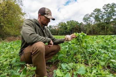 Image showing  Turnip Pounder