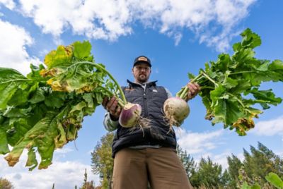 Image showing  Turnip Pounder