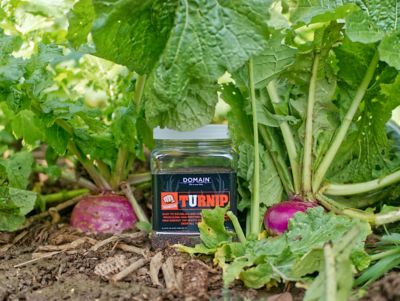 Image showing  Turnip Pounder