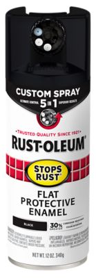 Rust-Oleum 12 oz. Black Stops Rust Custom 5-in-1 Spray Paint, Flat -  376855