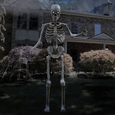 Image showing 7 th Haunted Hill Farm 8 ft. Tall Bones McNeely the Towering Skeleton by SVI, Premium Talking Halloween Animatronic, Plug-In