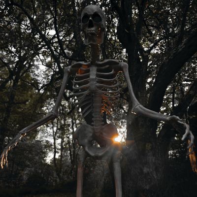 Image showing 8 th Haunted Hill Farm 8 ft. Tall Bones McNeely the Towering Skeleton by SVI, Premium Talking Halloween Animatronic, Plug-In