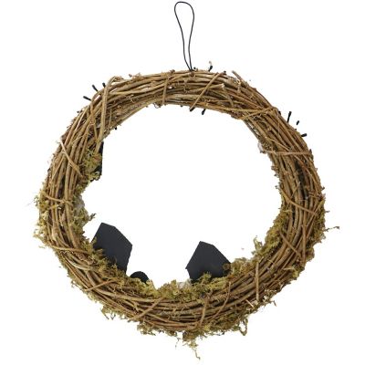 Image showing  15 in. Natural Grapevine Wreath with Spiders