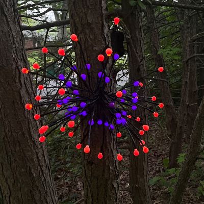 Image showing  480-Light Battery-Operated Radiant Starburst LED Lights, 6-Pack