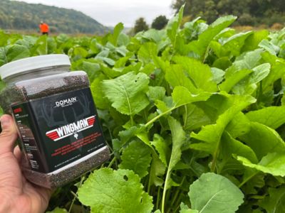 Image showing  Wingman Food Plot Mix