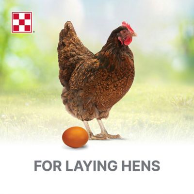 Image showing  Layena Pearls Chicken Feed