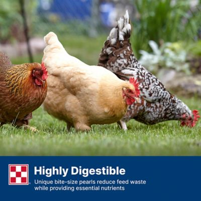 Image showing 5 th Purina Layena Pearls Chicken Feed