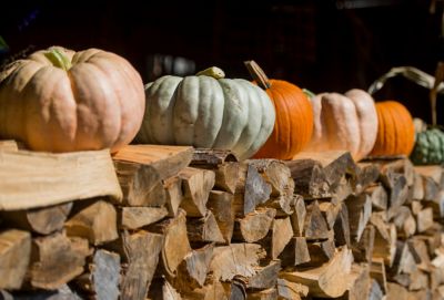 Seeds and Stems Fresh Heirloom Pumpkin