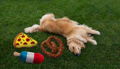 Image showing  Mega Plush Red White and Blue Popsicle Dog Toy